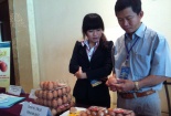Trứng gà chất lượng cao lên ngôi